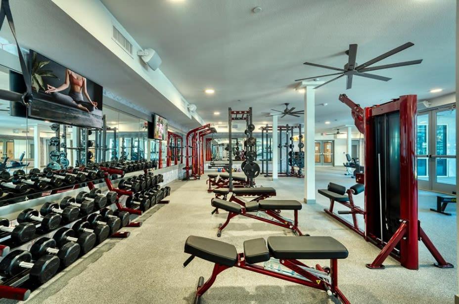 Cozysuites Phx Roro Gym, Pool, Pets, Parking! #9 Phoenix Extérieur photo